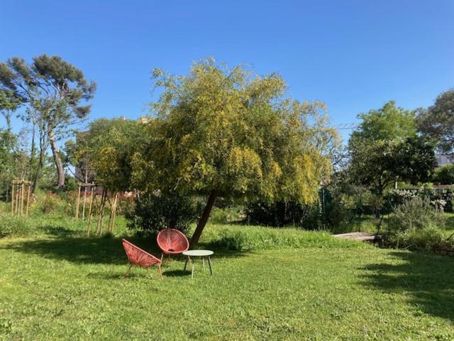 Un Jardin Dans La Ville La Ciotat Exteriör bild